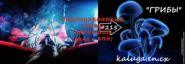 дурь Алексин