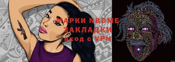 дурь Алексин